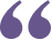 Icona doppi apici violetto